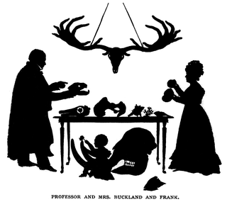Illustration for article titled La dieta del doctor Bukland, el científico que desayunaba tostadas con ratones (y se comió un corazón humano)